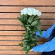 Роза белая аваланж 60 см