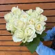 Роза белая аваланж 60 см