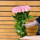 Роза розовая София 50 см