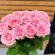 Роза розовая София 50 см