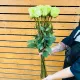 Роза лимонад 60 см