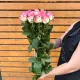 Роза розовая джумилия 60 см 