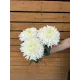 Хризантема  одноголовая Magnum (h70) 
