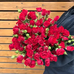 Роза кустовая красная 